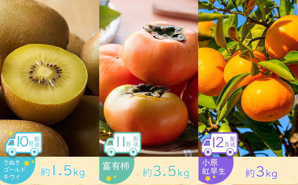 【全12回】坂出市四季のオススメ！旬果実単品定期便♪