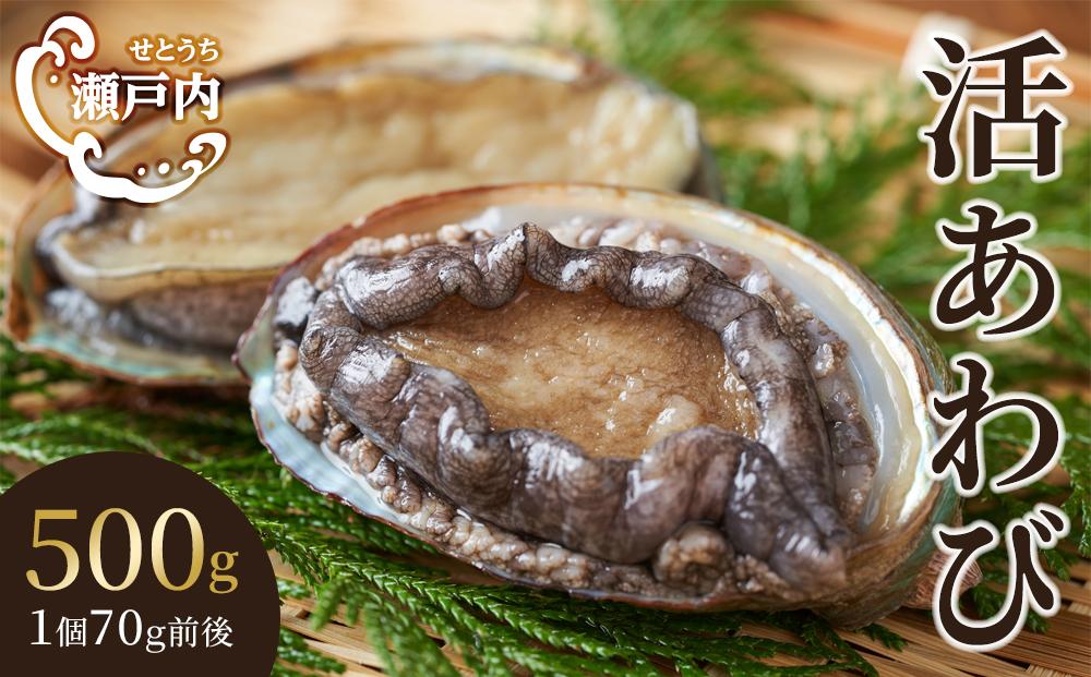 瀬戸内あわび（活）500g（1個70ｇ前後）