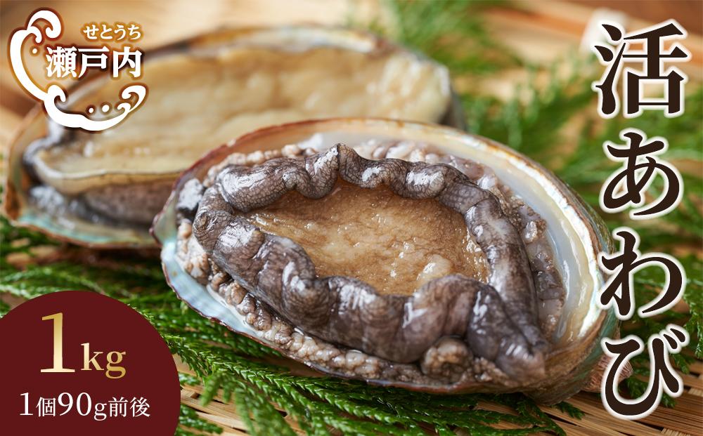 瀬戸内あわび（活）1kg（1個90ｇ前後）