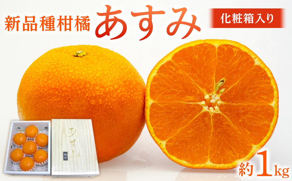 新品種柑橘「あすみ」約1kg 化粧箱入り