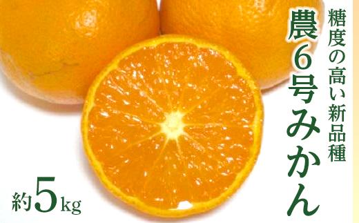 農6号みかん（のうろく）約5kg