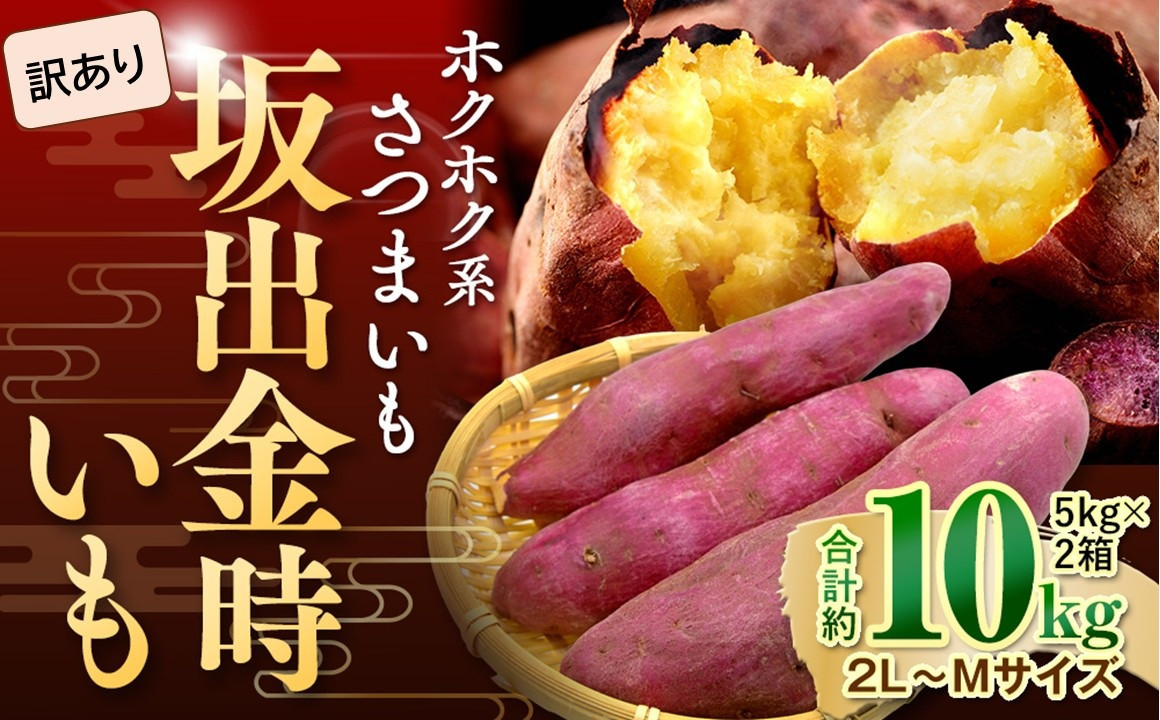 ＜2026年8月下旬以降発送・先行予約＞【訳あり】坂出金時いも　約5kg×2箱　2L～Mサイズ