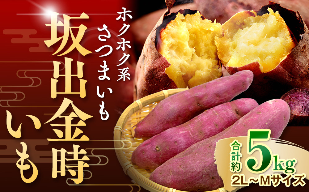 ＜2026年8月下旬以降発送・先行予約＞ホクホク系さつまいも「坂出金時いも」　約5kg