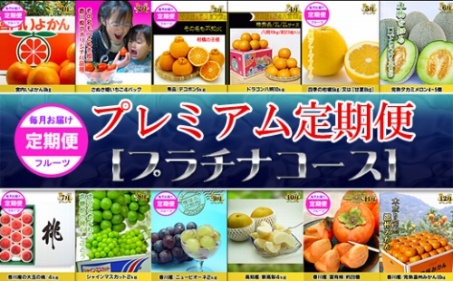 《特選プラチナコース》産直あきんど厳選フルーツ！魅惑の12回便