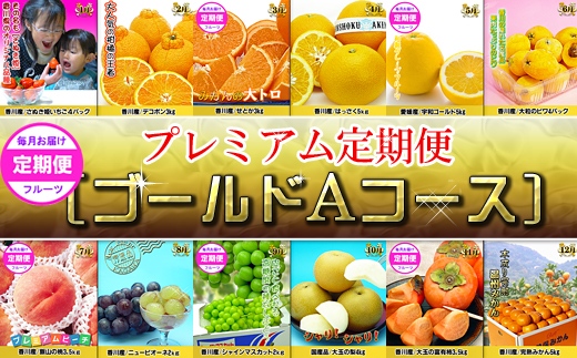 《ゴールドコースA》産直あきんど厳選フルーツ！魅惑の12回便