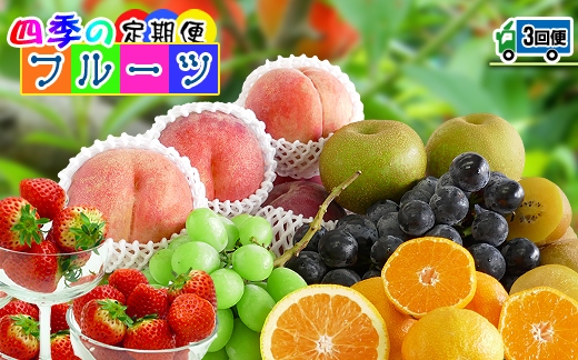 【定期便3回】創業100年 産直あきんど四季のフルーツの定期便《3ヶ月連続でお届け》