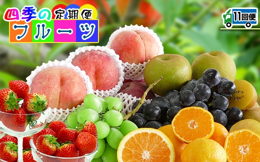 【定期便11回】創業100年 産直あきんど四季のフルーツの定期便《11ヶ月連続でお届け》