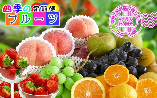 【定期便8回】創業100年 産直あきんど四季のフルーツの定期便《月2回×4ヶ月連続でお届け》