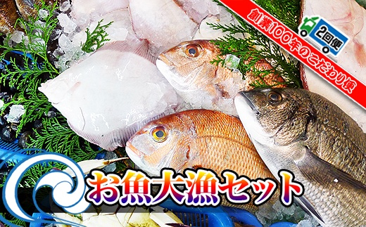 【定期便2回】創業100年の魚屋さんが選び抜いた旨い鮮魚直送便～