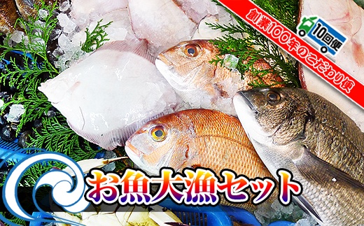 【定期便10回】創業100年の魚屋さんが選び抜いた旨い鮮魚直送便～