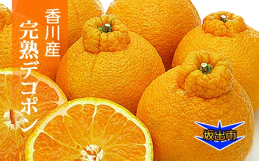 香川のあま～いデコポン［不知火］3kgの詰め合わせ