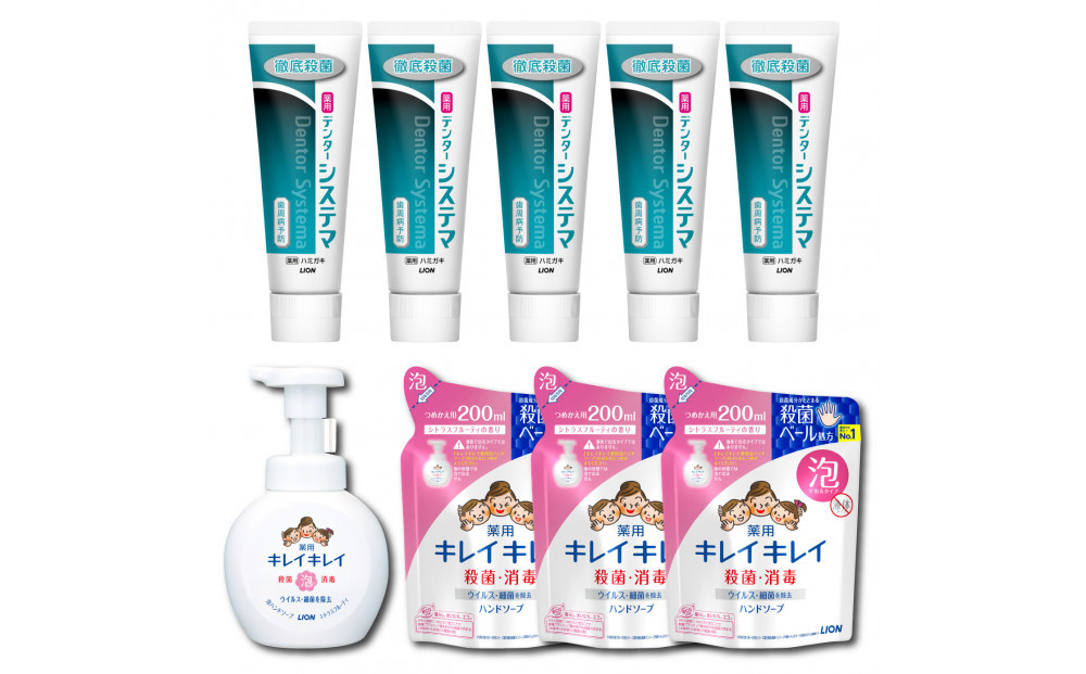 オリジナルCセット「デンターシステマハミガキタテ型130g×5本＆キレイキレイ泡ハンドソープ本体1本（250ml）+詰替え（200ml×3パック）」【日用品 人気 おすすめ 歯 デンタルケア キレイキレイ きれいきれい 石鹸 薬用 デンター システマ オリジナル 歯磨き粉 ハミガキ はみがき】