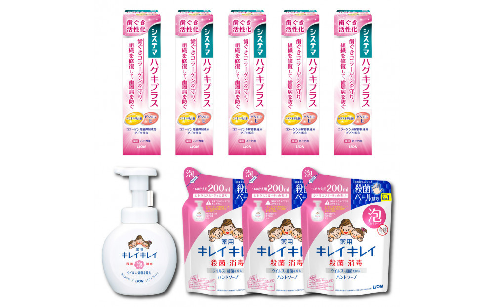 オリジナルDセット「システマハグキプラスハミガキ90g×5本＆キレイキレイ泡ハンドソープ本体1本（250ml）＆詰替え（200ml×3パック）」【日用品 人気 おすすめ 歯 デンタルケア キレイキレイ 石鹸 薬用 システマ ハグキ プラス オリジナル 歯磨き粉 ハミガキ はみがき】