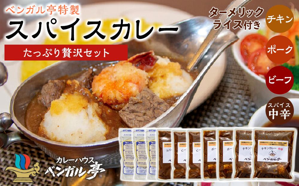 D ベンガル亭特製スパイスカレー！（たっぷり贅沢セット）