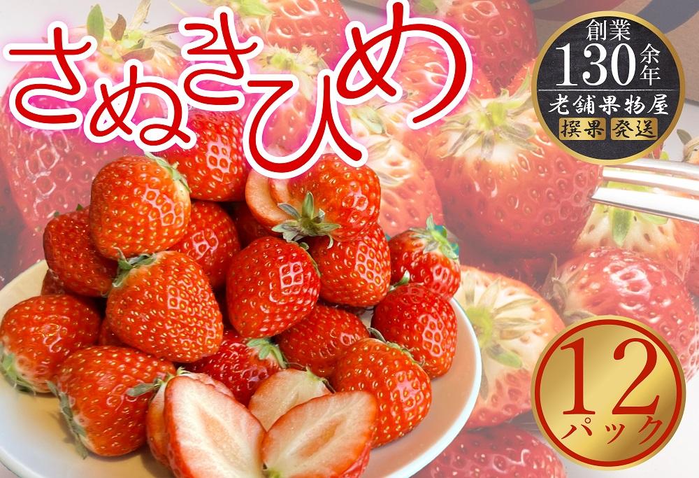 さぬき姫いちご　12パック（1パック約250g）