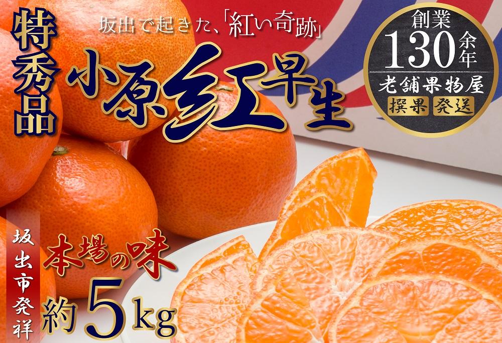 特秀品！小原紅早生みかん　約5kg【坂出発祥の真っ紅なお蜜柑】