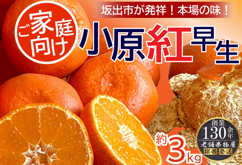 ご家庭向け！小原紅早生みかん　約3kg【坂出発祥の真っ紅なお蜜柑】