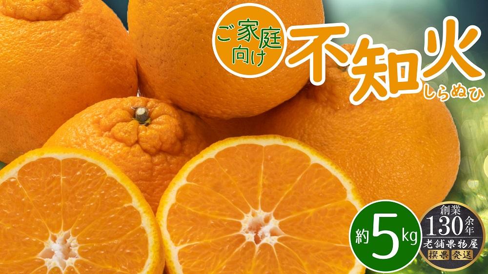 ご家庭向け！不知火(しらぬひ)　約5kg
