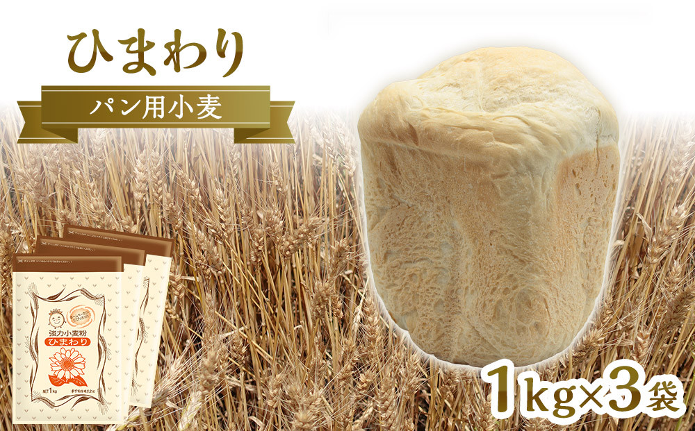 パン用小麦粉「ひまわり」1kg×3袋