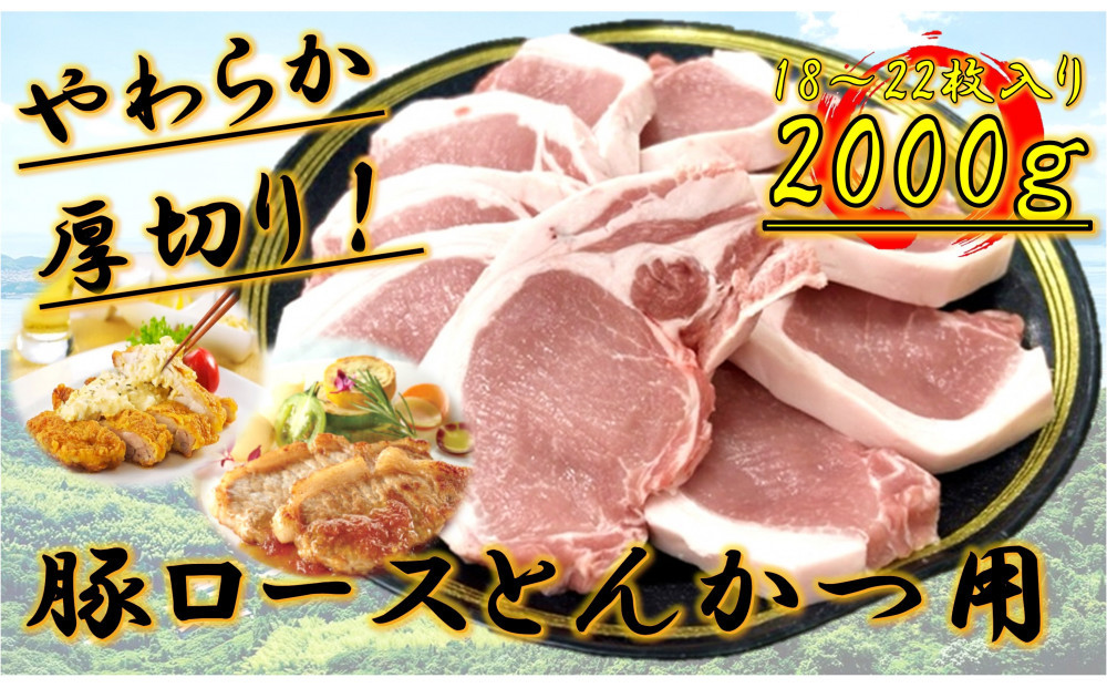 柔らか厚切り！豚ロースとんかつ用　2kg(18～22枚入り)