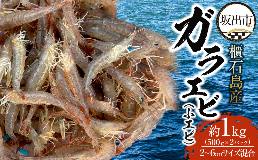 櫃石島産ガラエビ（小エビ）約1kg　【500ｇ×2パック】