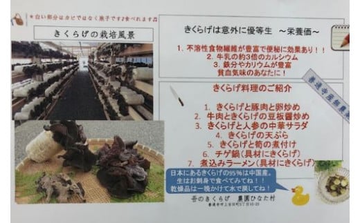 善通寺市産生きくらげ＆乾燥きくらげ