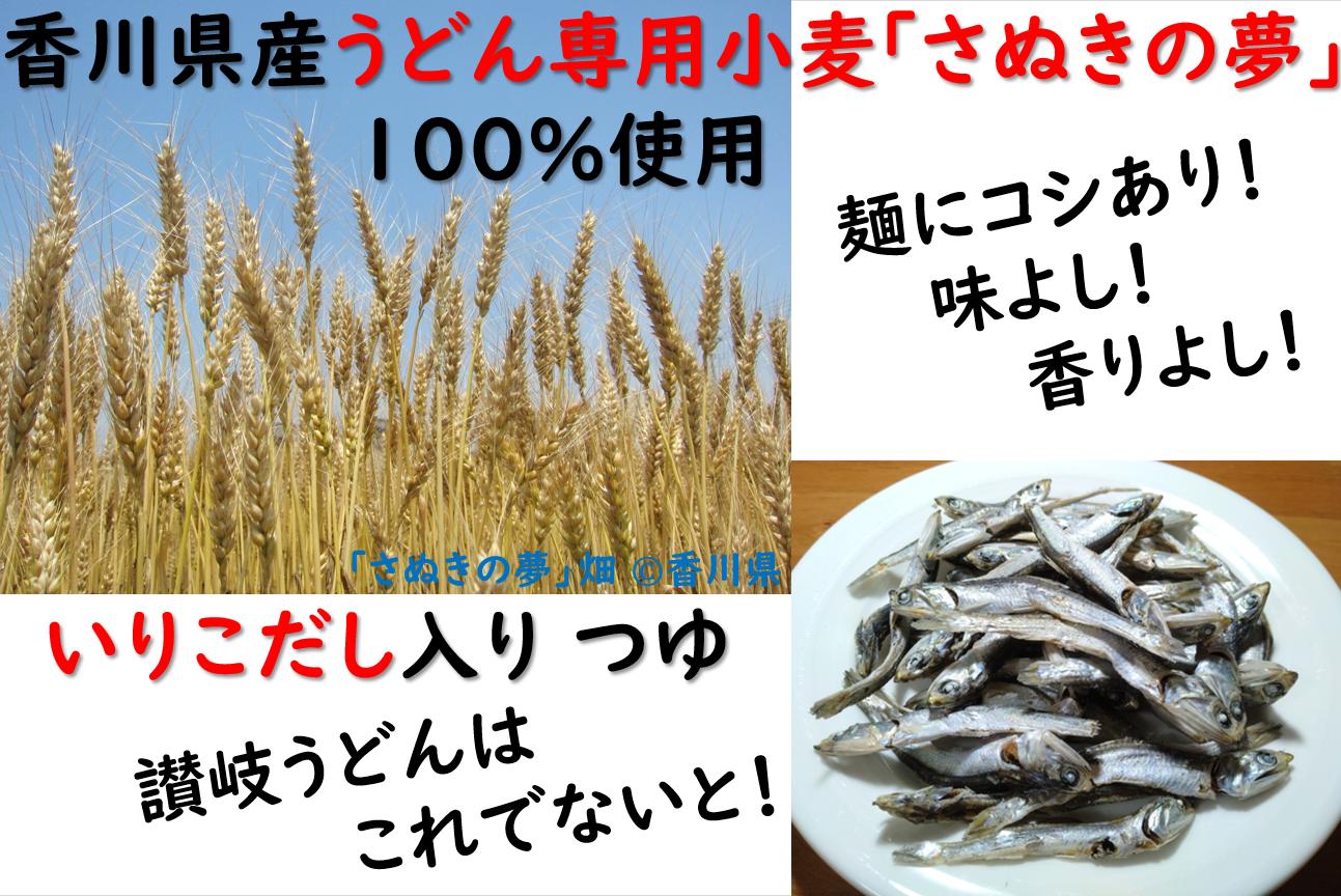 麺棒　「さぬきの夢」小麦 讃岐うどん　12食セット