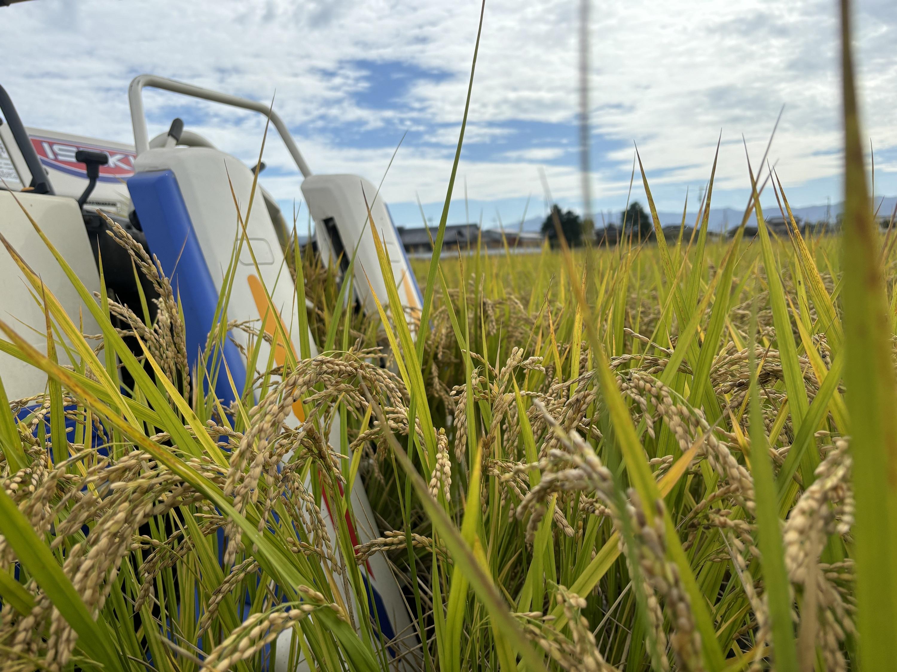 Root  Farmの令和7年度　新米ヒノヒカリ玄米5kg×2袋　有機JAS認証