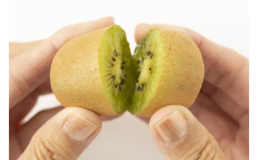 善通寺市産「キウイのたまご」２４玉　約１．１ｋｇ