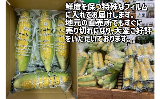 【先行予約受付開始！】2026年産　善通寺市産 スイートコーン 2.5kg（鮮度保持袋入り）　（2026年6月頃から発送開始予定）