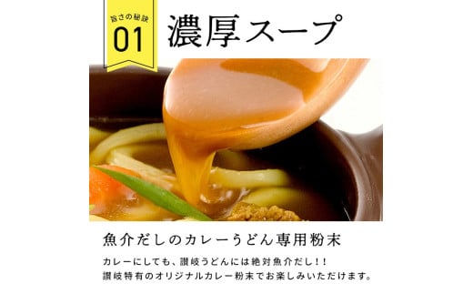 讃岐カレーうどんセット（24人前）