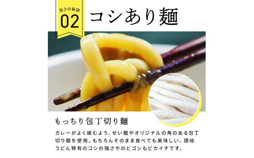 讃岐カレーうどんセット（24人前）