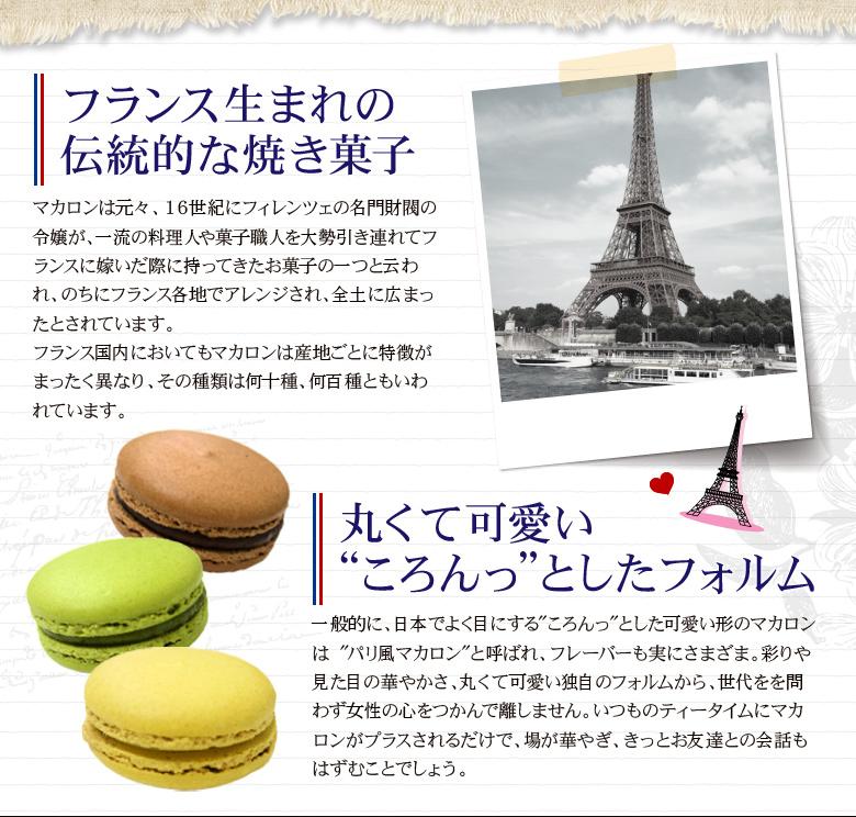 もりん　至高のマカロン　10個詰め合わせ