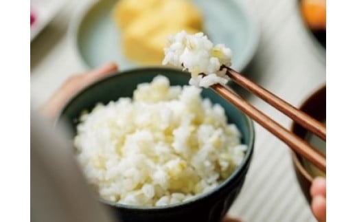 善通寺市産二条もち麦「キラリモチ｣ ２kg