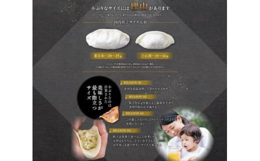 「10月30日で受付終了」たれ屋のクロワッサン餃子2セット（生餃子48個入り×2・酢醤油たれ付属）　※「ラヴィット！」「櫻井・有吉ＴＨＥ夜会」でも紹介されました！