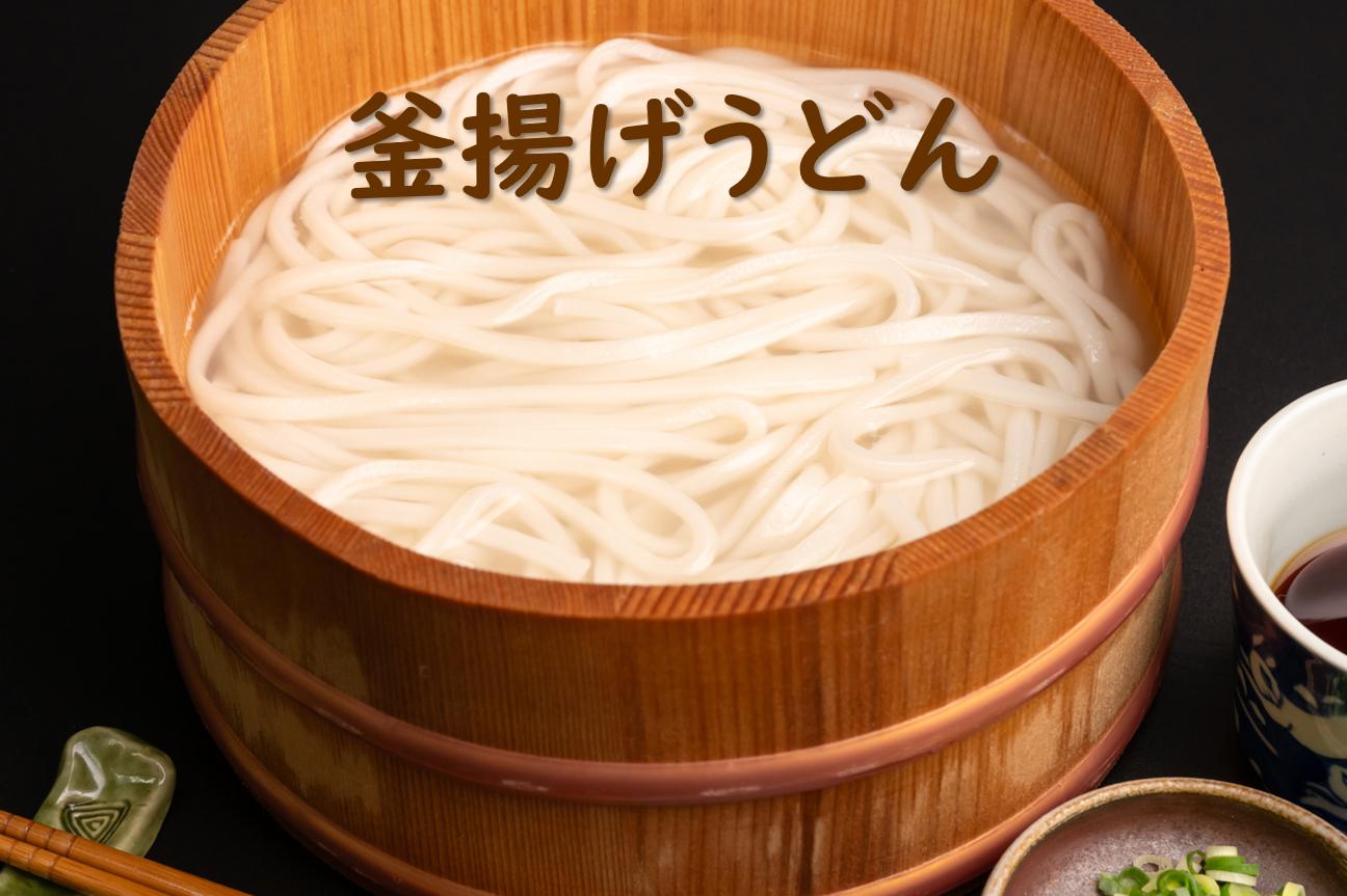 麺棒/　讃岐うどん　半生　20食セット