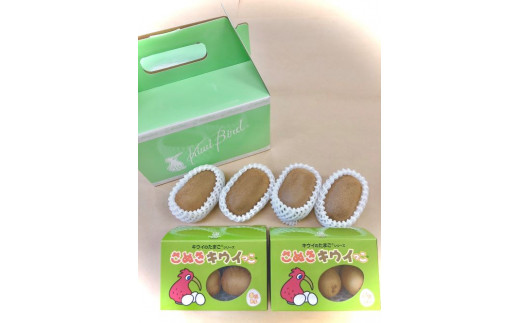 善通寺市産キウイ詰合せ（1）