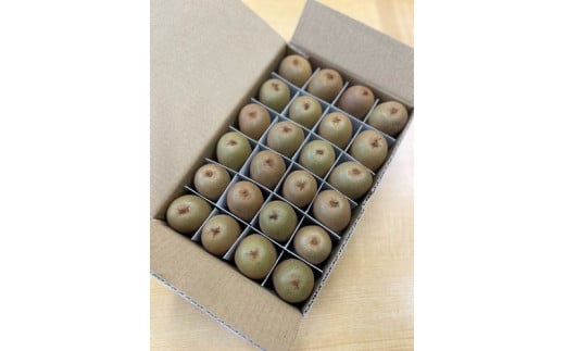 善通寺市産「キウイのたまご」２４玉　約１．１ｋｇ