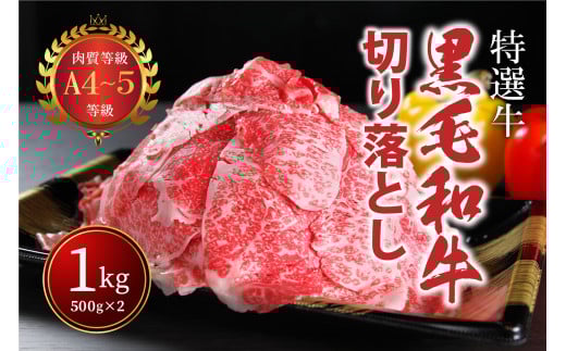 国産！！ A4、A5ランク黒毛和牛切り落とし１㎏（５００g×２パック） 黒毛和牛切り落とし１㎏