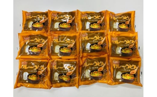 讃岐カレーうどんセット（24人前）