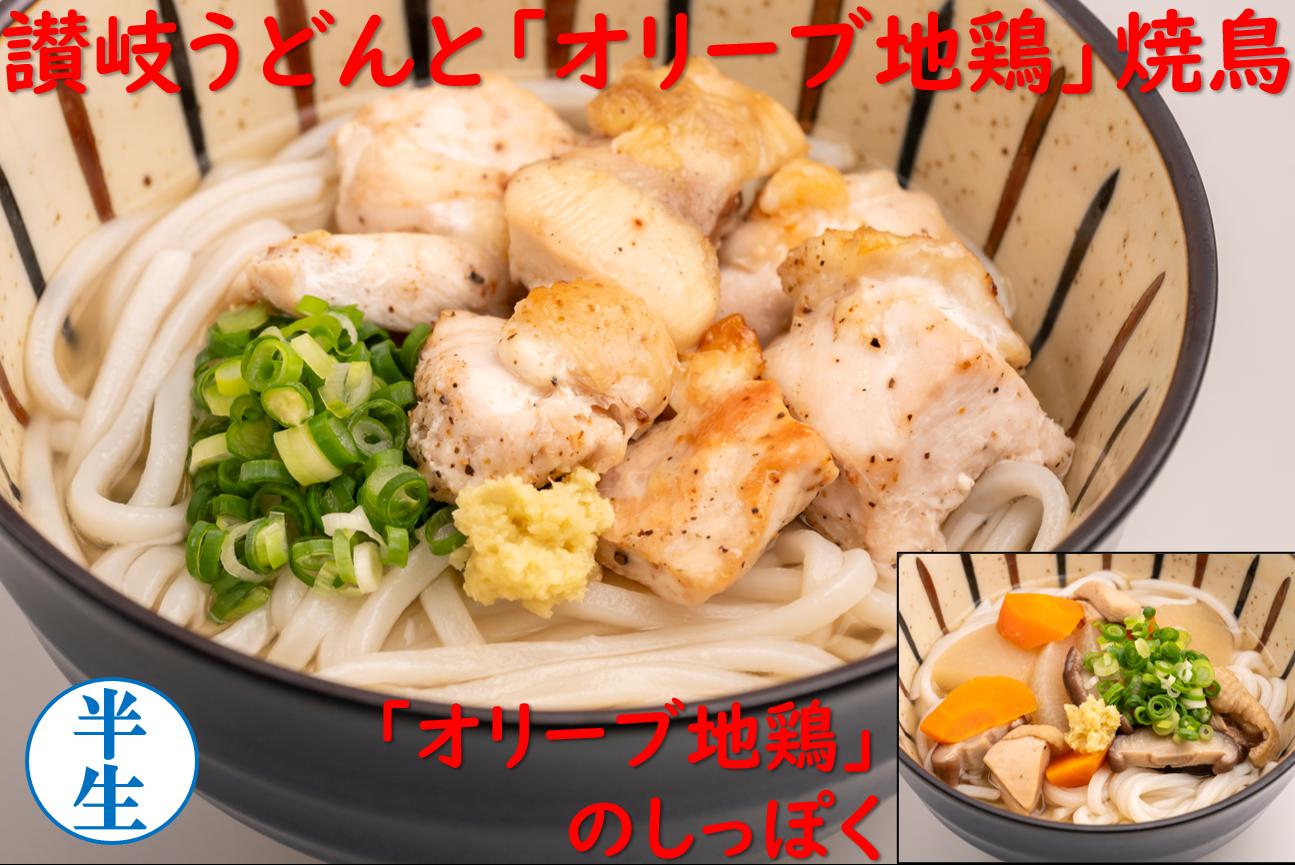 麺棒　「さぬき三昧」讃岐うどんと香川銘産品シリーズ　オリーブ地鶏焼鳥うどんセット