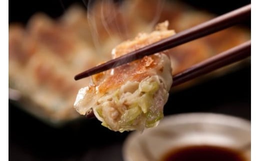 「10月30日で受付終了」たれ屋のクロワッサン餃子2セット（生餃子48個入り×2・酢醤油たれ付属）　※「ラヴィット！」「櫻井・有吉ＴＨＥ夜会」でも紹介されました！