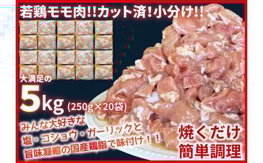 カット済！味付き！若鶏小分けもも切身 5kg (250g×20袋)