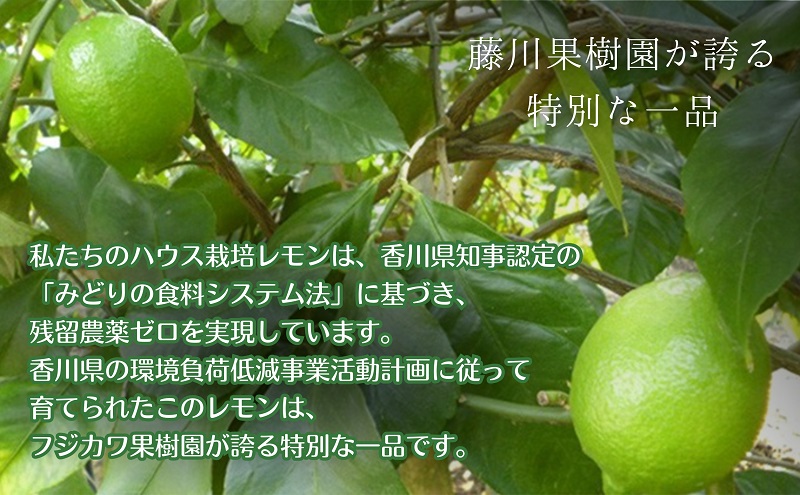 【2026年 先行予約】みどり認定 ハウス栽培グリーンレモン 約2.3kg 国産レモン 香川 果物類／柑橘類／みかん レモン