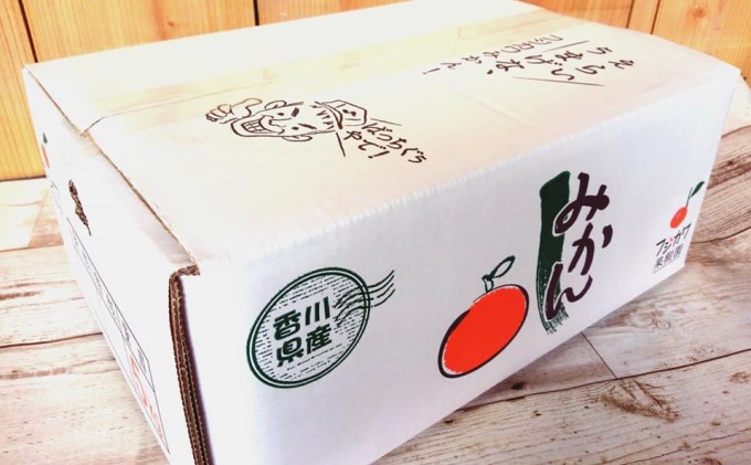 2026秋よりお届け 高糖度温州みかん（由良早生）約5kg 果物類 柑橘類 柑橘 ミカン フルーツ 蜜柑