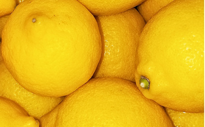 2026年お届け イエローレモン（露地栽培）約2.5kg 果物類 柑橘類 柑橘 檸檬