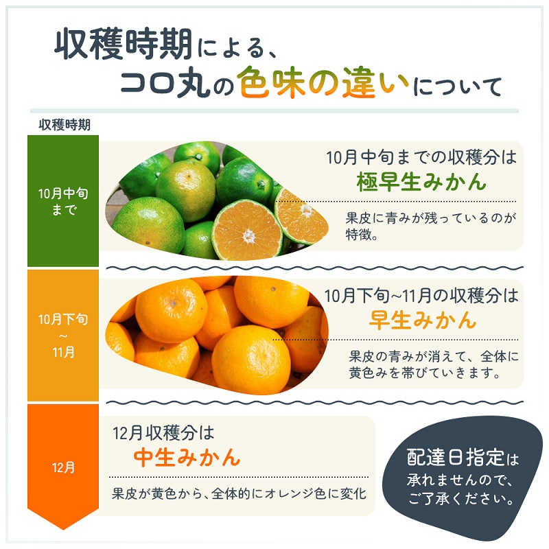 2026年秋よりお届け 瀬戸内　小みかん！コロ丸　約3kg 果物類 柑橘類 フルーツ