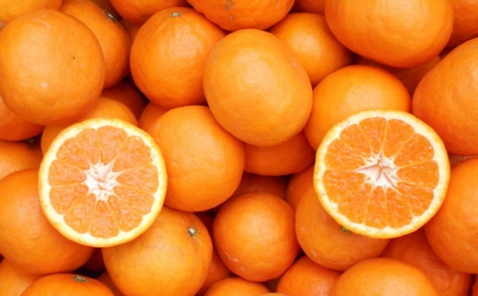 【2026年先行予約】フジカワ果樹園スタッフの目利きセレクト！彩り中晩柑　約3kg 果物類 みかん 柑橘類 フルーツ