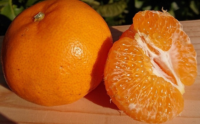 【2026年先行予約】フジカワ果樹園スタッフの目利きセレクト！彩り中晩柑　約3kg 果物類 みかん 柑橘類 フルーツ