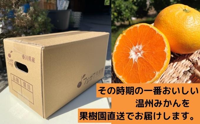 2026年秋よりお届け フジカワ温州みかん 約2kg 果物 柑橘 フルーツ おやつ 間食 デザート 食後 極早生 早生 甘い 食べきりサイズ 冬 秋